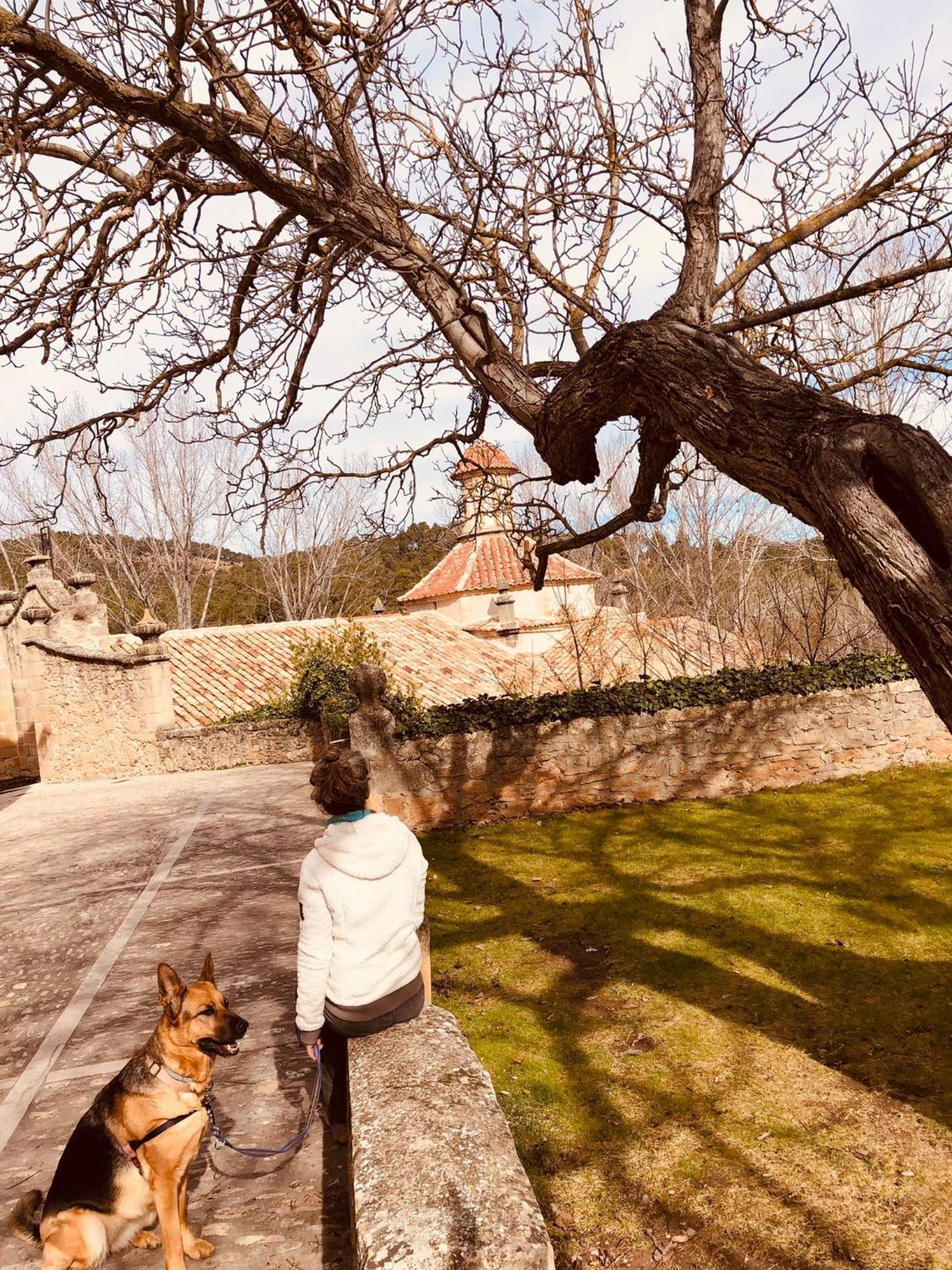 Hotel Santuario Virgen De La Fuente Peñarroya de Tastavins Esterno foto